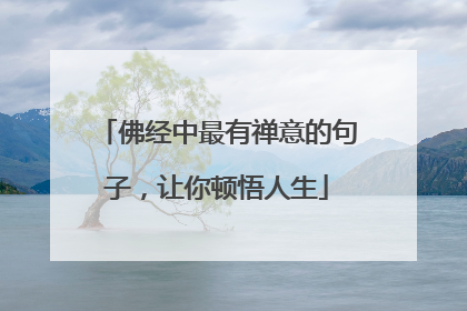 佛经中最有禅意的句子,让你顿悟人生