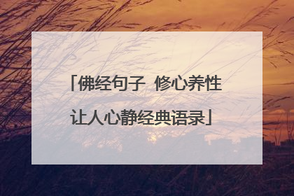佛经句子 修心养性 让人心静经典语录
