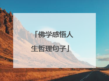 佛学感悟人生哲理句子