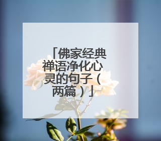 佛家经典禅语净化心灵的句子(两篇)