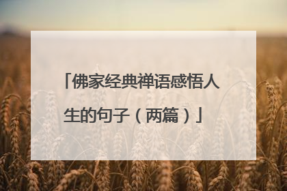 佛家经典禅语感悟人生的句子(两篇)