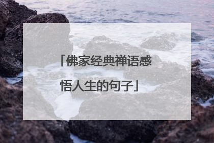 佛家经典禅语感悟人生的句子