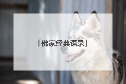 佛家经典语录