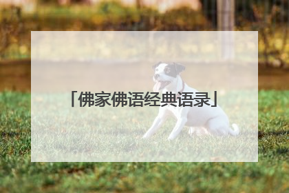 佛家佛语经典语录