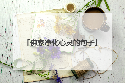 佛家净化心灵的句子
