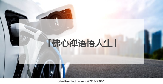 佛心禅语悟人生
