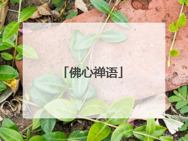 佛心禅语