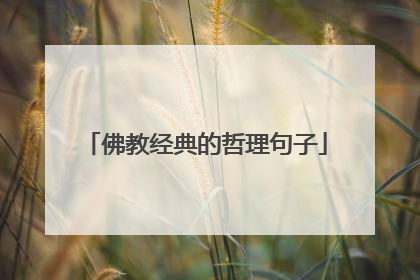 佛教经典的哲理句子