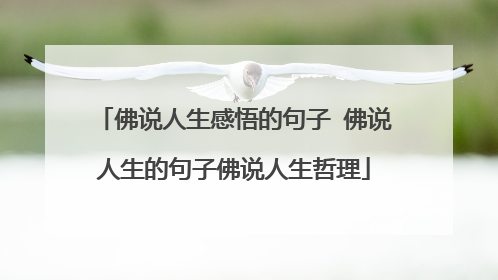 佛说人生感悟的句子 佛说人生的句子佛说人生哲理