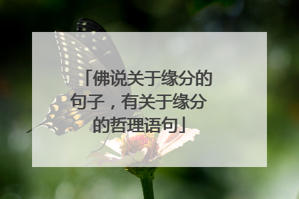 佛说关于缘分的句子,有关于缘分的哲理语句