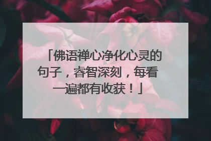 佛语禅心净化心灵的句子,睿智深刻,每看一遍都有收获!