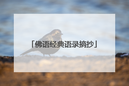 佛语经典语录摘抄