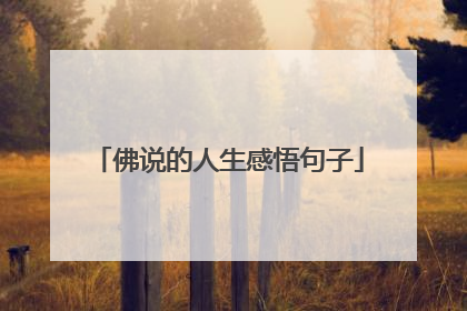 佛说的人生感悟句子
