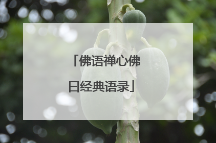 佛语禅心佛曰经典语录