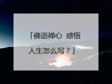 佛语禅心 感悟人生怎么写?