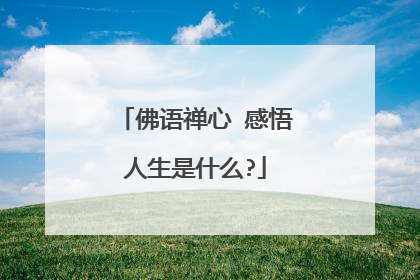 佛语禅心 感悟人生是什么?