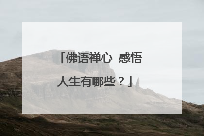 佛语禅心 感悟人生有哪些?