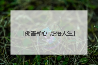 佛语禅心 感悟人生