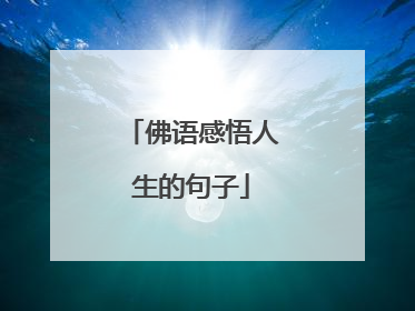 佛语感悟人生的句子