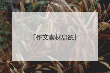 作文素材品德