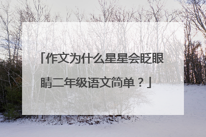 作文为什么星星会眨眼睛二年级语文简单?