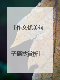 作文优美句子摘抄赏析