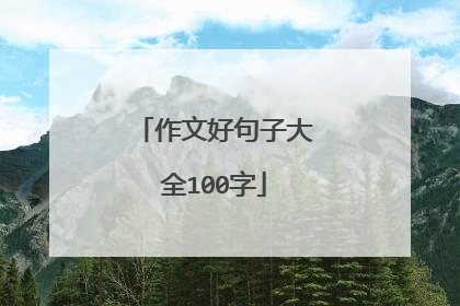 作文好句子大全100字