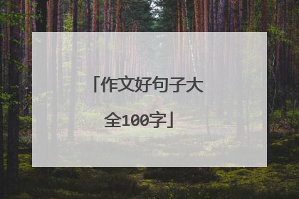 作文好句子大全100字