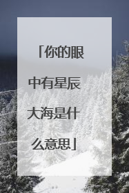 你的眼中有星辰大海是什么意思