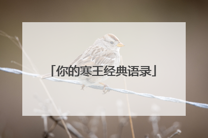 你的寒王经典语录