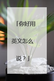 你好用英文怎么说?