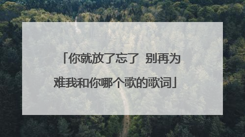 你就放了忘了 别再为难我和你哪个歌的歌词