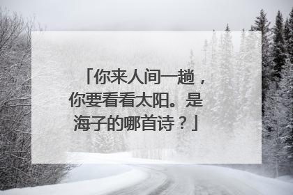 你来人间一趟,你要看看太阳。是海子的哪首诗?