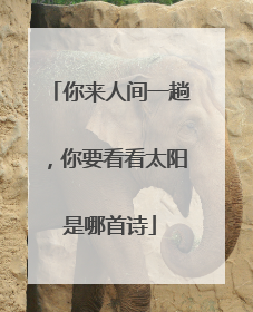 你来人间一趟,你要看看太阳是哪首诗