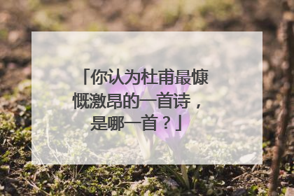 你认为杜甫最慷慨激昂的一首诗,是哪一首?