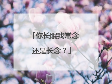你长眠我常念还是长念?