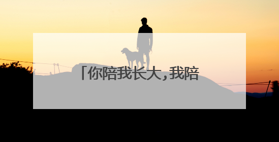 你陪我长大,我陪你变老,愿时光对你温柔以待是什么歌
