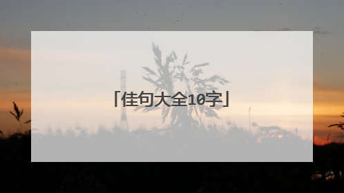 佳句大全10字