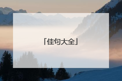 佳句大全