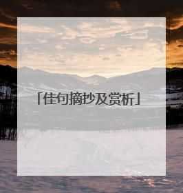 佳句摘抄及赏析