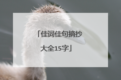 佳词佳句摘抄大全15字