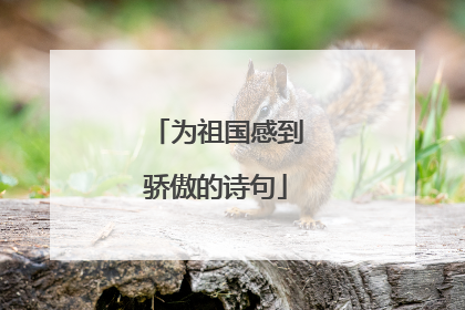 为祖国感到骄傲的诗句