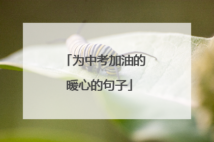 为中考加油的暖心的句子