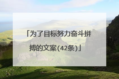为了目标努力奋斗拼搏的文案(42条)