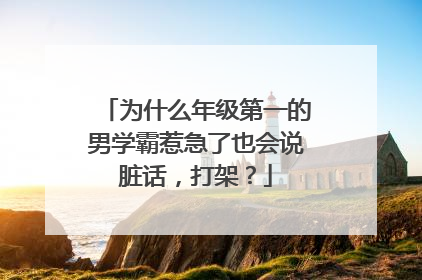 为什么年级第一的男学霸惹急了也会说脏话，打架？
