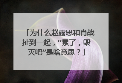 为什么赵露思和肖战扯到一起,“累了,毁灭吧”是啥意思?