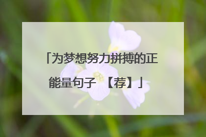 为梦想努力拼搏的正能量句子 【荐】