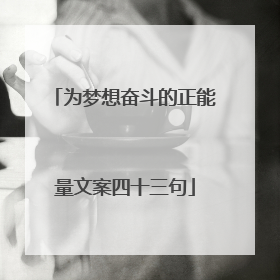 为梦想奋斗的正能量文案四十三句