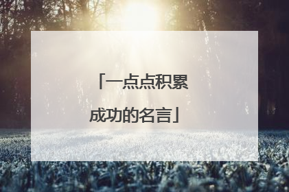 一点点积累成功的名言