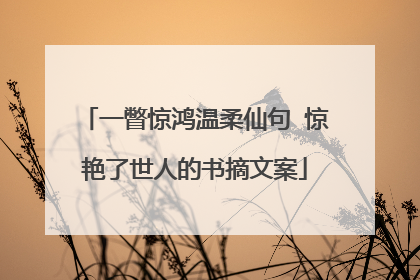 一瞥惊鸿温柔仙句 惊艳了世人的书摘文案
